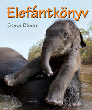 Steve Bloom - Elefntknyv