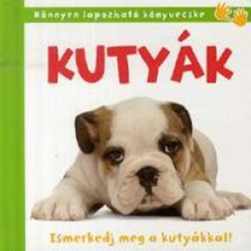 Kutyk - Ismerkedj meg a kutykkal!