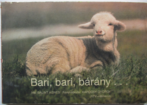 B�lint �gnes - Bari, bari, b�r�ny...