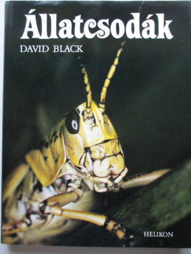 David Black - Állatcsodák