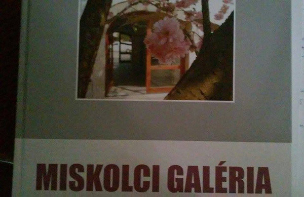 Dobrik Istvn (szerk.) - Miskolci galria