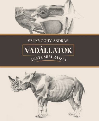 Szunyoghy Andrs - Vadllatok anatmiai rajzai