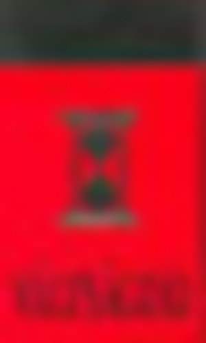 Danielle Steel - V�lts�gd�j