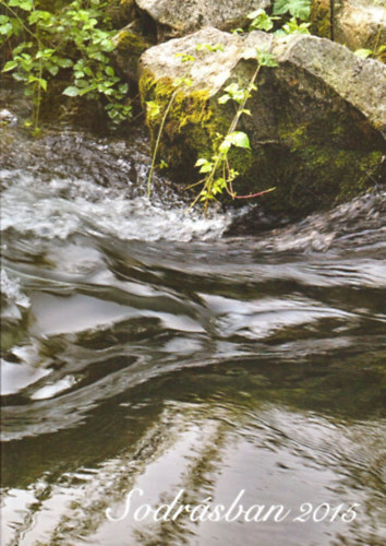 Baranyai Attila (szerk.) - Sodr�sban 2015 - Amat�r k�lt�k antol�gi�ja