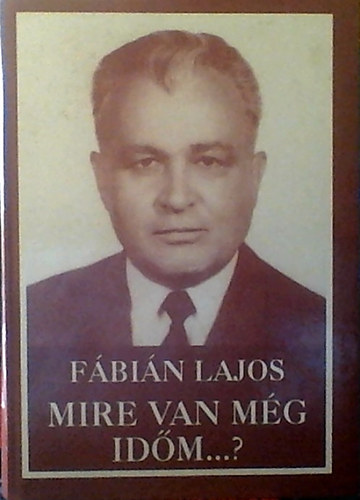 Fbin Lajos - Mire van mg idm...? - letrajz, emlkkpek, trsadalmi korrajz