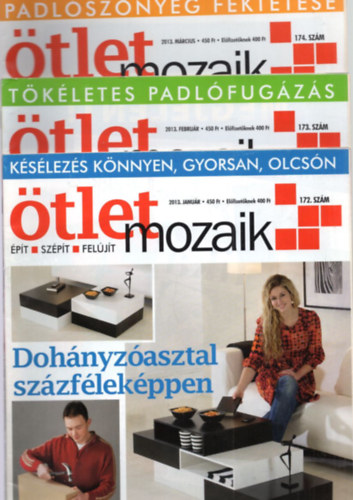 Jodal Bla, Csont Sndor - tlet Mozaik 2013. vf. ( 1-12. szm - teljes  )
