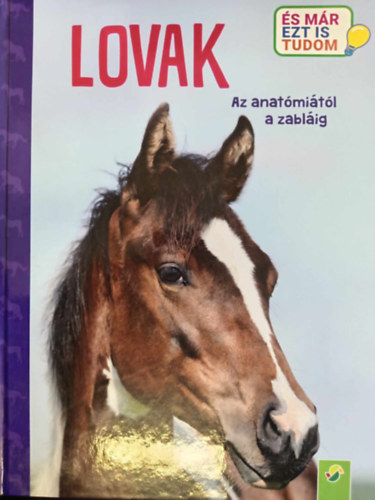 Anja Schriever, Sandra Menke (illus.) - Lovak - Az anatmitl a zablig (Mr ezt is tudom)