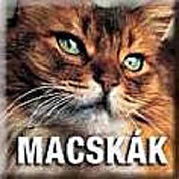 Geographia Kiad - Macskk - National Geographic