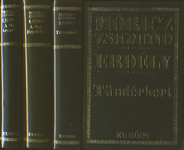 Móricz Zsigmond - Erdély. Tündérkert - A nagy fejedelem - A nap árnyéka