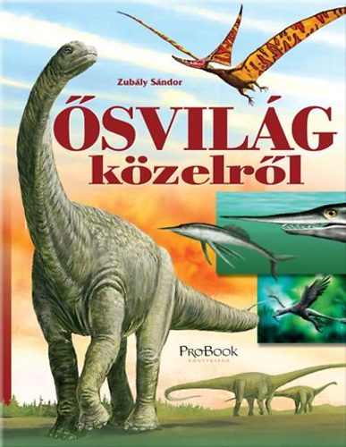 Zubly Sndor - svilg kzelrl