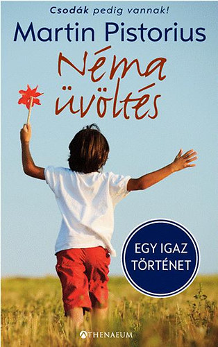 Martin Pistorius, Davies, Meganlloyd - N�ma �v�lt�s