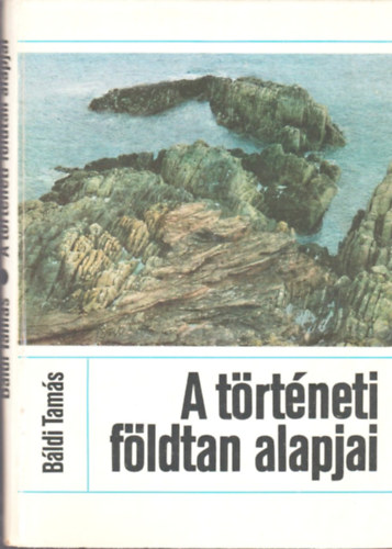 Bldi Tams - A trtneti fldtan alapjai