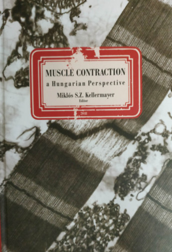 Muscle contraction A hungarian Perspective