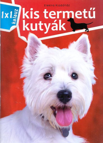 Kis termet kutyk (1x1 kalauz)