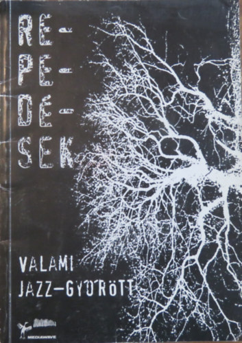 Bakáts Tibor Settenkedő (szerk.), Müllner Dóra (szerk.) - Repedések: Valami jazz - Győrőtt / Something jazz in Győr