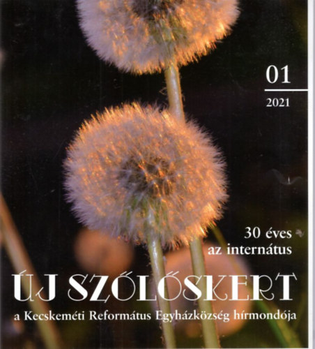 Bán Magdolna (főszerk:), Kormányosné Makai Eszter - Új Szőlőskert IX. évf. 2021.01. szám - a Kecskeméti Református Egyházközség hírmondója
