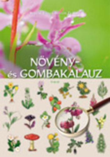 Bert�k Istv�n; Br�g�s Zen�bia - N�v�ny- �s gombakalauz