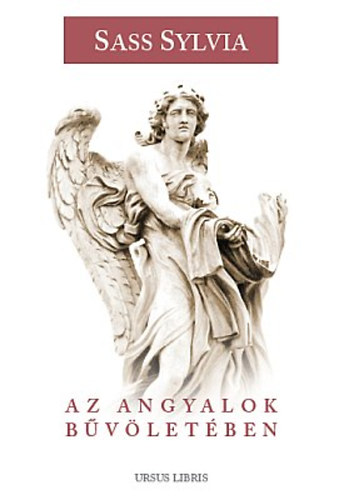 Sass Sylvia - Az angyalok bvletben