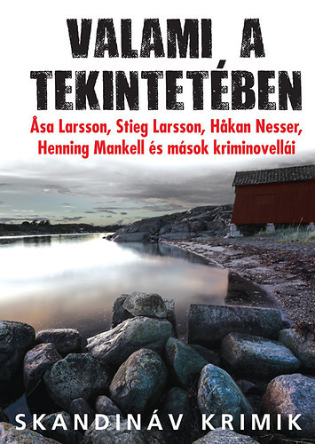 John-Henri Holmberg (szerk.) - Valami a tekintetben (Skandinv krimik)