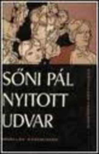 S�ni P�l - Nyitott udvar