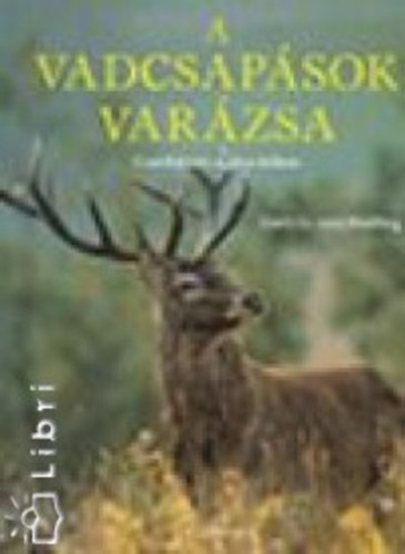 A vadcsapsok varzsa