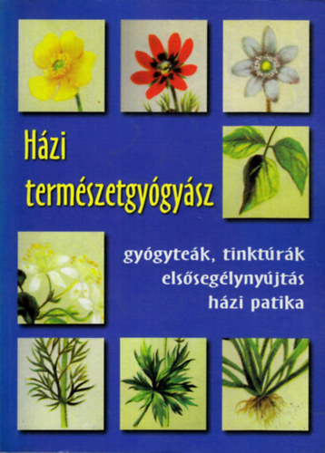 Házi természetgyógyász - Gyógyteák, tinktúrák, elsősegélynyújtás, házi patika