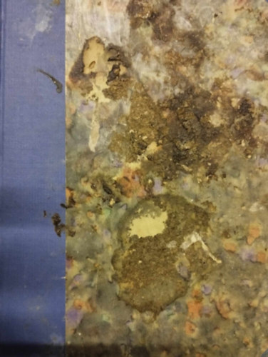 Osváth Gedeon - Reviczky Gyula