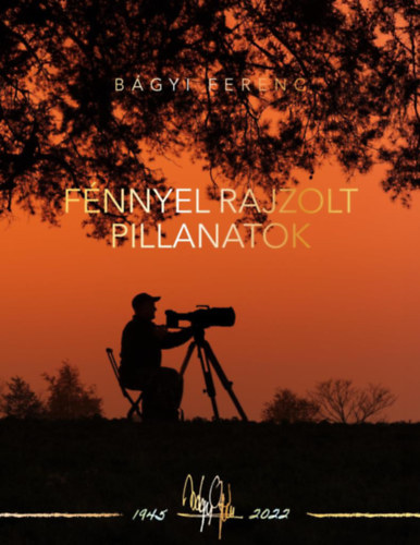 Bgyi Ferenc - Fnnyel rajzolt pillanatok