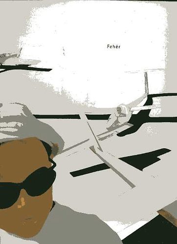 Hegyi Lrnd - Fehr - Kpek / Paintings 2001-2004