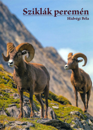 Hidvégi Béla - Sziklák peremén