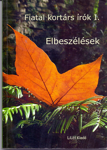 Alm�ssy Bal�zs-Arday G�za-Bartusz-Dobosi L�szl�; �s m�g t�bben - Fiatal kort�rs �r�k I. - Elbesz�l�sek