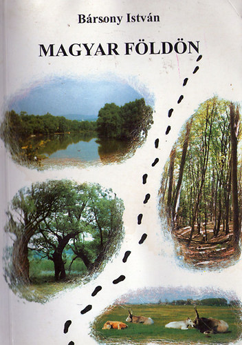 Brsony Istvn - Magyar fldn