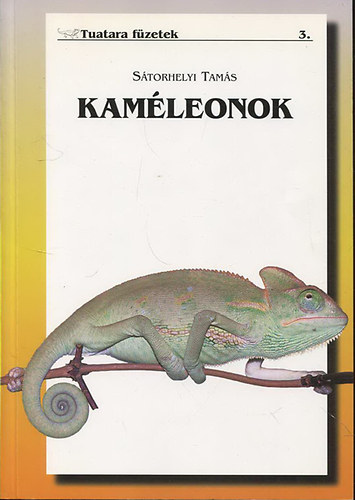 Storhelyi Tams - Kamleonok