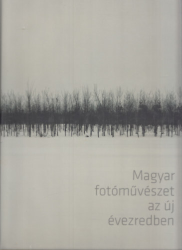Baki Pter - Magyar fotmvszet az j vezredben