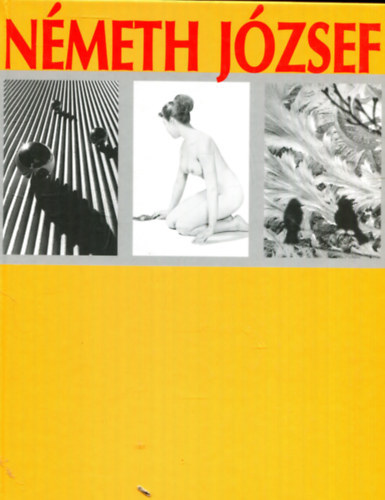 Dr. Nmeth Jzsef - Nmeth Jzsef kpemlkei
