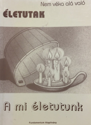 Dbrssy Jzsef, Nmeth Rozlia - "Nem vka al val" letutak - A mi letutunk