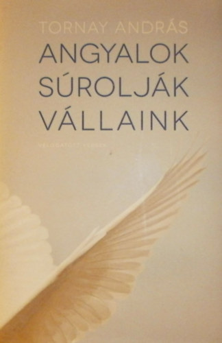 Tornay Andrs - Angyalok sroljk vllaink