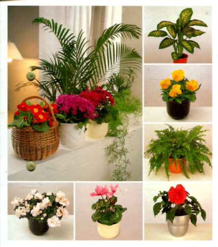 Szobanvnyek A-tl Z-ig (1.-16.) Kt ktet