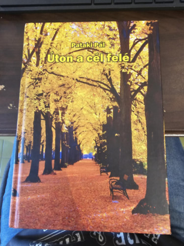 Pataki Pál - Úton a cél felé