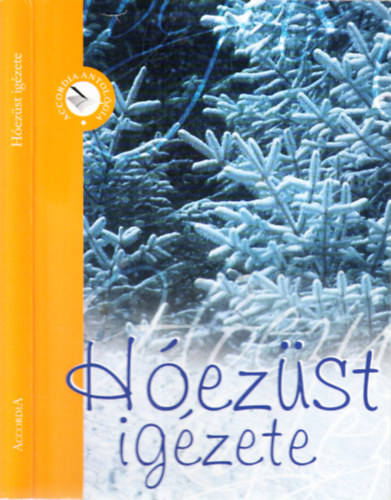 B�r�ny Melinda (szerk.) - H�ez�st ig�zete (Versek �s pr�zai �r�sok)