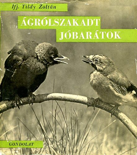 Ifj. Tildy Zoltn - grlszakadt jbartok