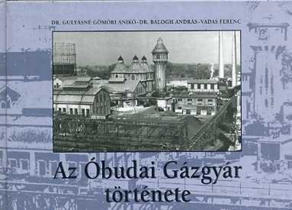 Dr. Gulysn - Dr. Balogh - Vadas - Az budai Gzgyr trtnete
