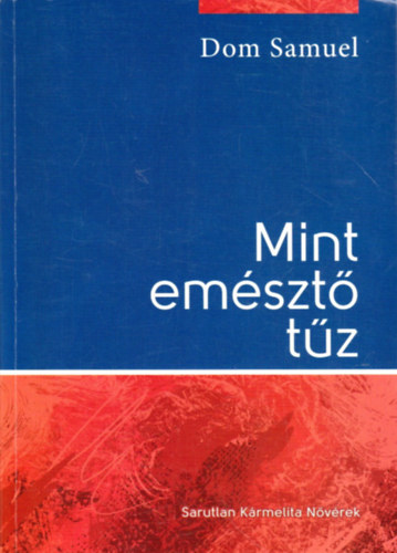 Dom Samuel - Mint emszt tz - Egy szerzetes gondolatai az irgalmassg gondolatrl