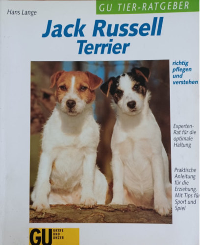 Jack Russell Terrier