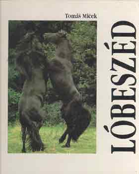 Toms Micek - Lbeszd