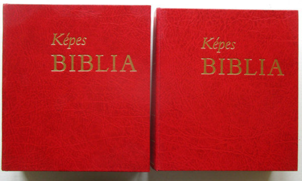 Zsdely Gyula (szerk.) - Kpes Biblia I-II. ktet