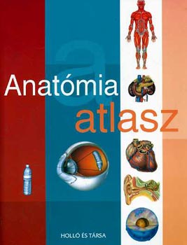 Vincze Zsuzsa (szerk.) - Anatmia atlasz