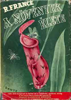 Raoul France - A nvnyek lete