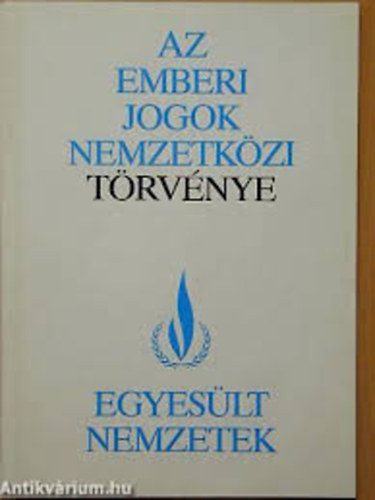 Az emberi jogok nemzetkzi trvnye