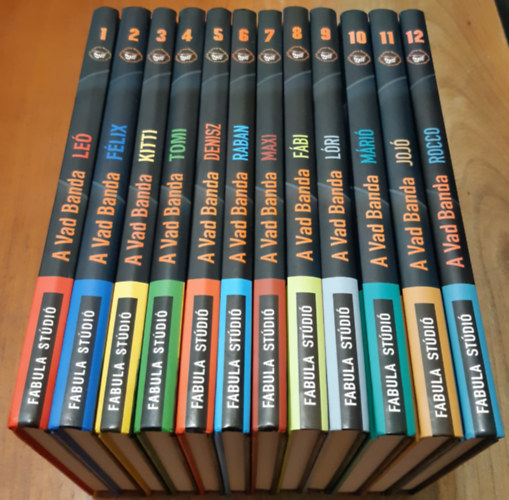 Joachim Masannek - A Vad Focibanda: 1-12.